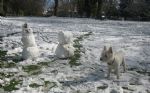 Snow in Swindon 2008