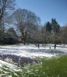 Snow in Swindon 2008