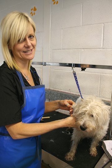 Milo gets a trim!
