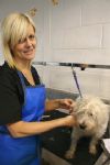 Milo gets a trim!