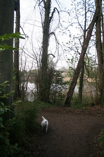 Milo visits Stanton Park - 22/04/08