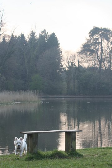 Milo visits Stanton Park - 22/04/08