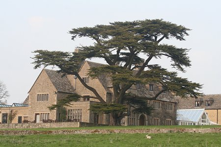 Milo visits Stanton Park - 22/04/08