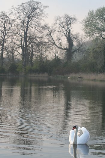 Milo visits Stanton Park - 22/04/08