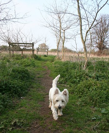 Milo visits Stanton Park - 22/04/08