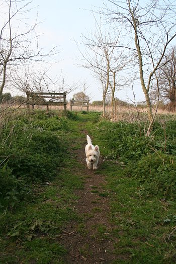 Milo visits Stanton Park - 22/04/08