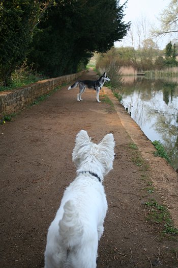 Milo visits Stanton Park - 22/04/08