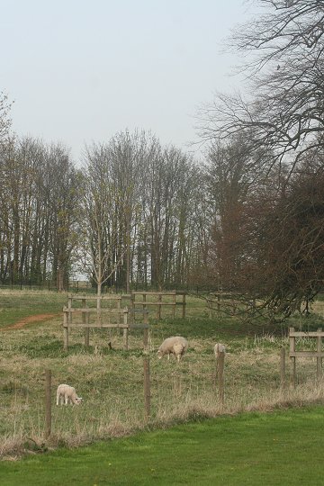 Milo visits Stanton Park - 22/04/08