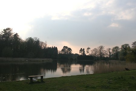 Milo visits Stanton Park - 22/04/08
