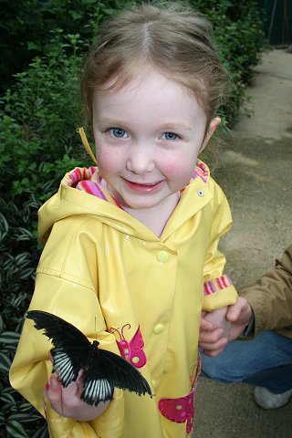 Butterfly World and Studley Grange