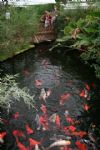 Butterfly World and Studley Grange