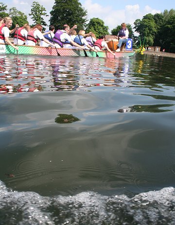 Challenge Swindon 2008 - Dragon boating