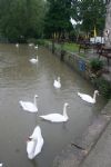 Swindon Floods