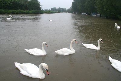 Swindon Floods