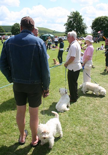 Liddington Fete and Dog Show 2008