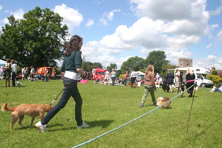 Liddington Fete and Dog Show 2008