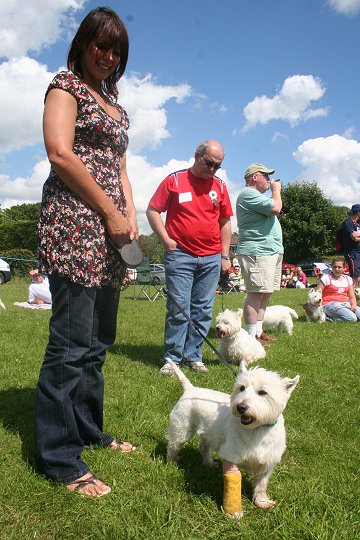 Liddington Fete and Dog Show 2008