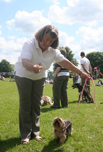 Liddington Fete and Dog Show 2008