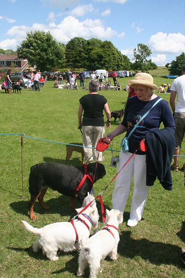 Liddington Fete and Dog Show 2008