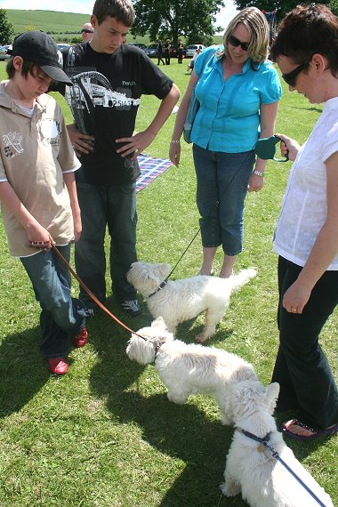 Liddington Fete and Dog Show 2008