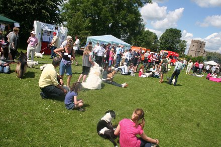 Liddington Fete and Dog Show 2008