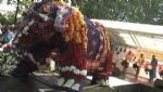 Swindon Mela 2008