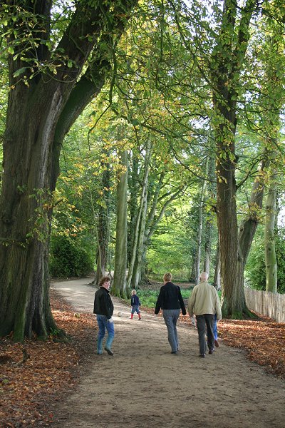 Lydiard House and Park