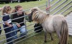 Uffington White Horse Show 2008