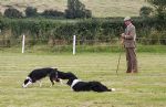 Uffington White Horse Show 2008