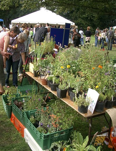 Forest Festival 2004