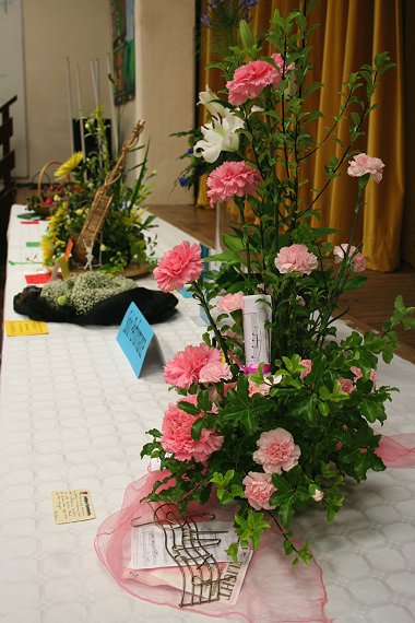 Highworth Produce and Craft Show 2008 - full gallery