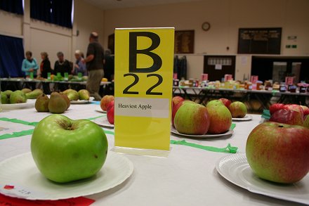 Highworth Produce and Craft Show 2008 - full gallery