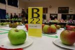 Highworth Produce and Craft Show 2008 - full gallery