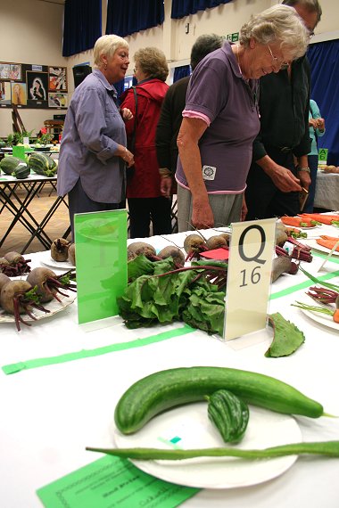 Highworth Produce and Craft Show 2008 - full gallery