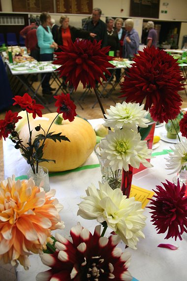 Highworth Produce and Craft Show 2008 - full gallery