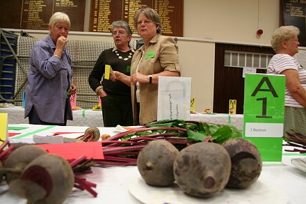 Highworth Produce and Craft Show 2008 - full gallery