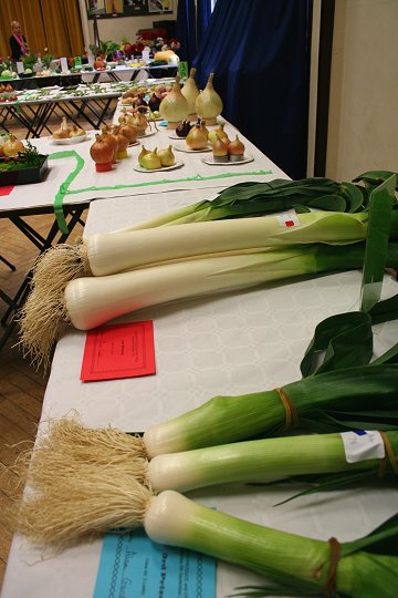 Highworth Produce and Craft Show 2008 - full gallery