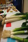 Highworth Produce and Craft Show 2008 - full gallery