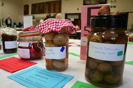 Highworth Produce and Craft Show 2008 - full gallery