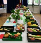 Highworth Produce and Craft Show 2008 - full gallery