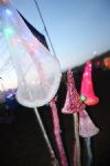 Waveform Festival 2008