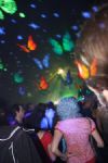 Waveform Festival 2008