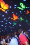 Waveform Festival 2008