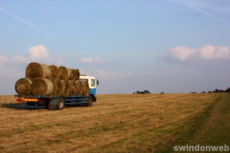 Autumn in Swindon 2008