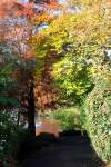 Autumn in Swindon 2008