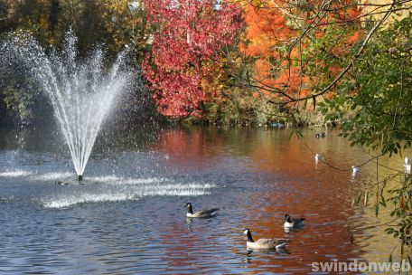 Autumn in Swindon 2008