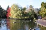 Autumn in Swindon 2008