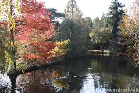 Autumn in Swindon 2008