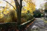 Autumn in Swindon 2008