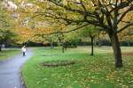 Autumn in Swindon 2008